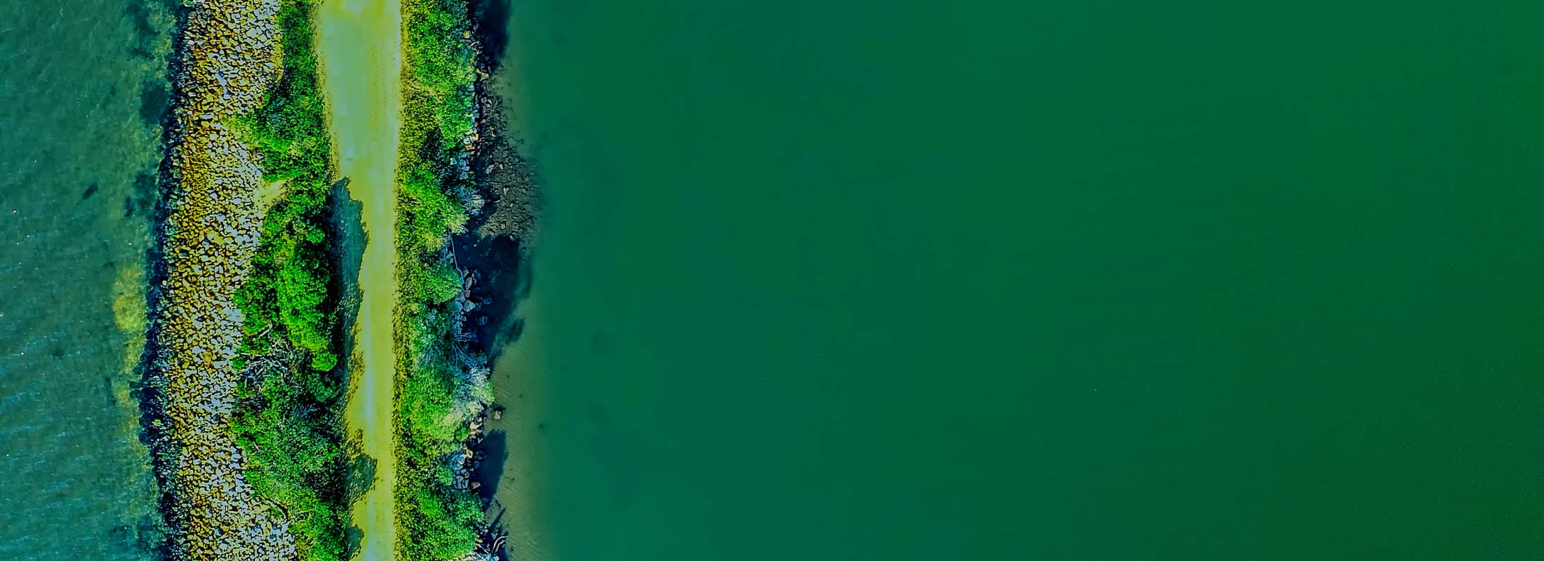 island in the sea 2